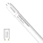 Noxion Tube LED T8 Avant (EM/Direct 230V) Standard Output 7.5W 900lm - 830 Blanc Chaud | 60cm - Équivalent 18W