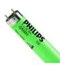 Philips MASTER TL-D 18W - Groen | 60cm